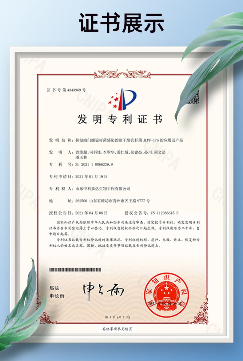 仁和 酵素益生溶菌酶清新口气去茶烟渍牙膏1支