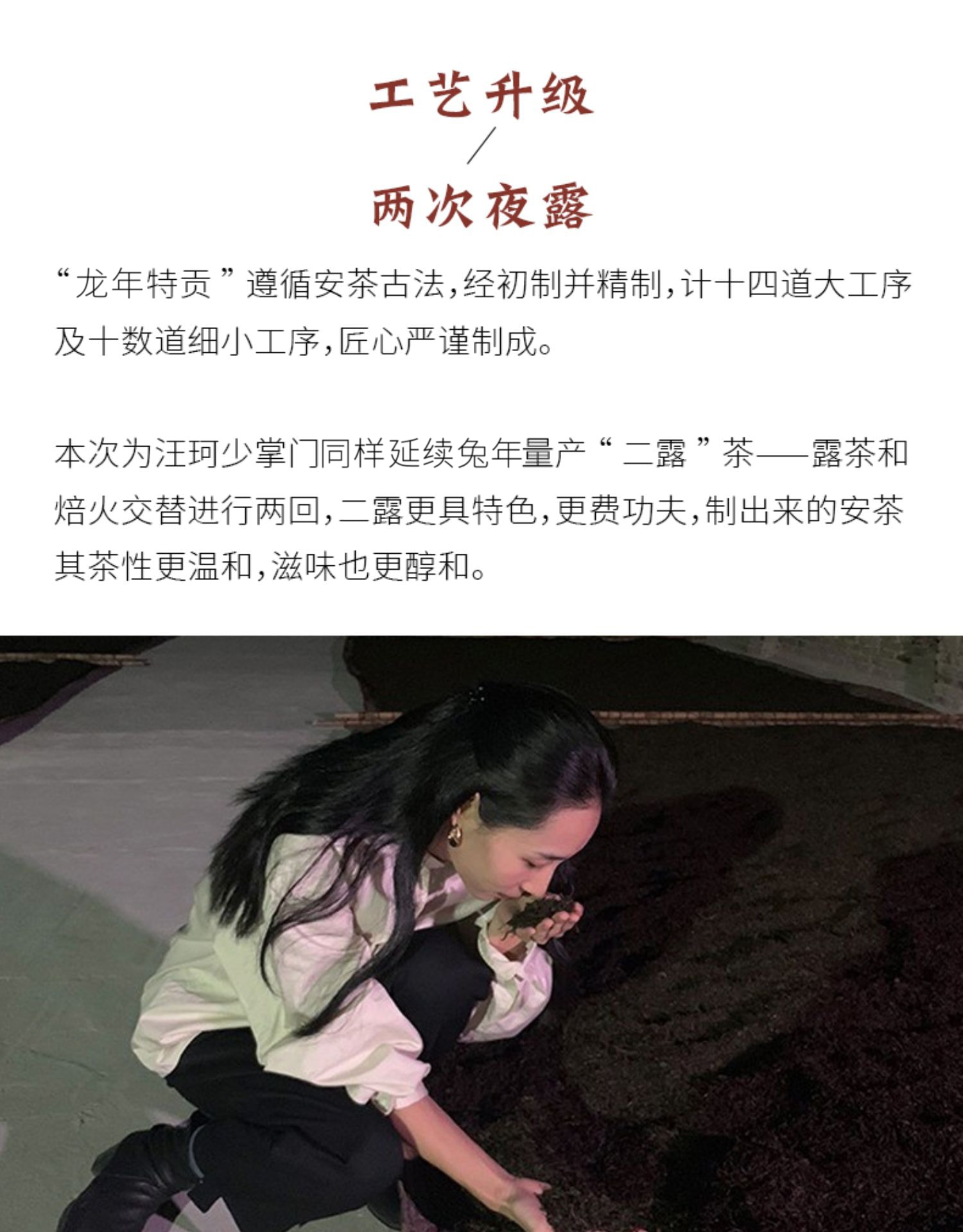 小师姐评茶 【美国现货秒发】祁门安茶 2024龙年限量版 特贡级别 整篮装 非遗二露工艺 甜醇温和 云龙安茶 龙年生肖礼盒 中式伴手礼  245克