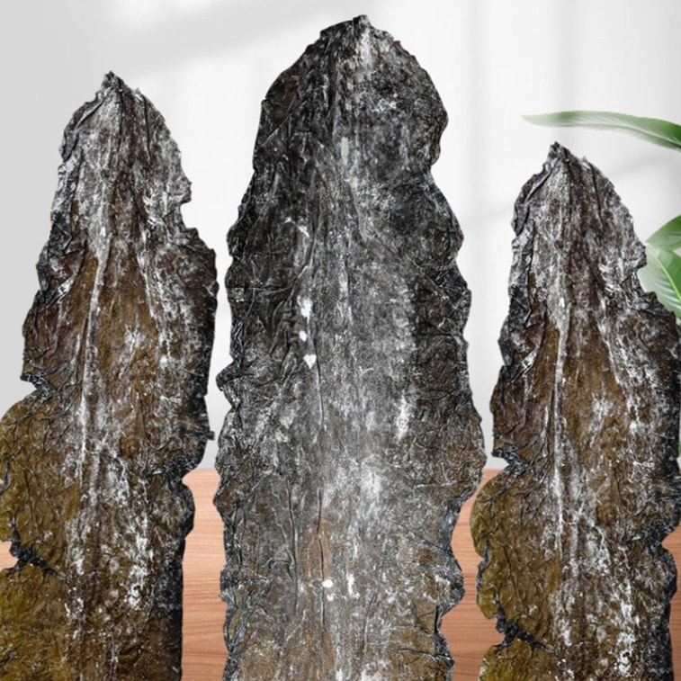 時樸 有機海帶 500g【煲湯火鍋食材】 5