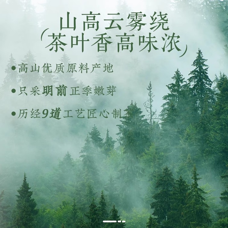 Green Tea Mao Jian Tea 2025 New Tea Listing Premium Spring Tea Drink by Yourself 100g 3