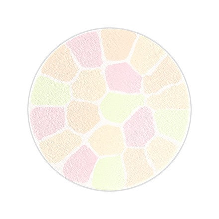 Elegance La Poudre Haute Nuance #06 8.8g Refill - Yamibuy.com
