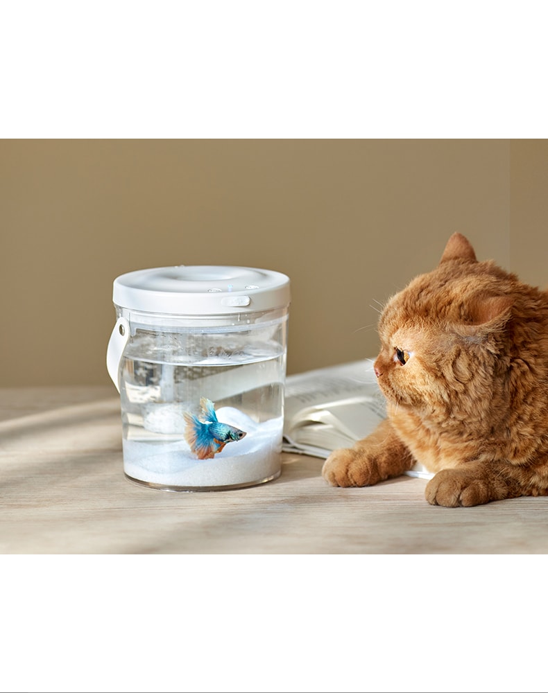 OLAYKS 魚缸新款小型桌上型工作便攜式戶外打氧無線注氧金魚缸