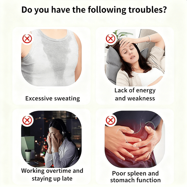 【Canada Direct Mail】 Sifanda Astragalus Ophiopogon Schisandra Tea 100g (5g x 20 bags) Replenish Qi Nourish Yin Relieve Dry Mouth Night Sweats Fatigue Weakness Excessive Sweating Essential Fluid-Generating Tea Nourish Yin Improve Dry Mouth Frequent Sweating Mental Fatigue Conditioning Tea 9