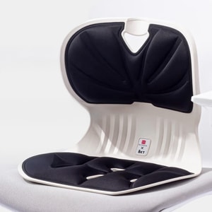 Standard Lumbar Support Cushion, Ergonomic Backrest for Posture, Universal Chair Fit, Mystic Black