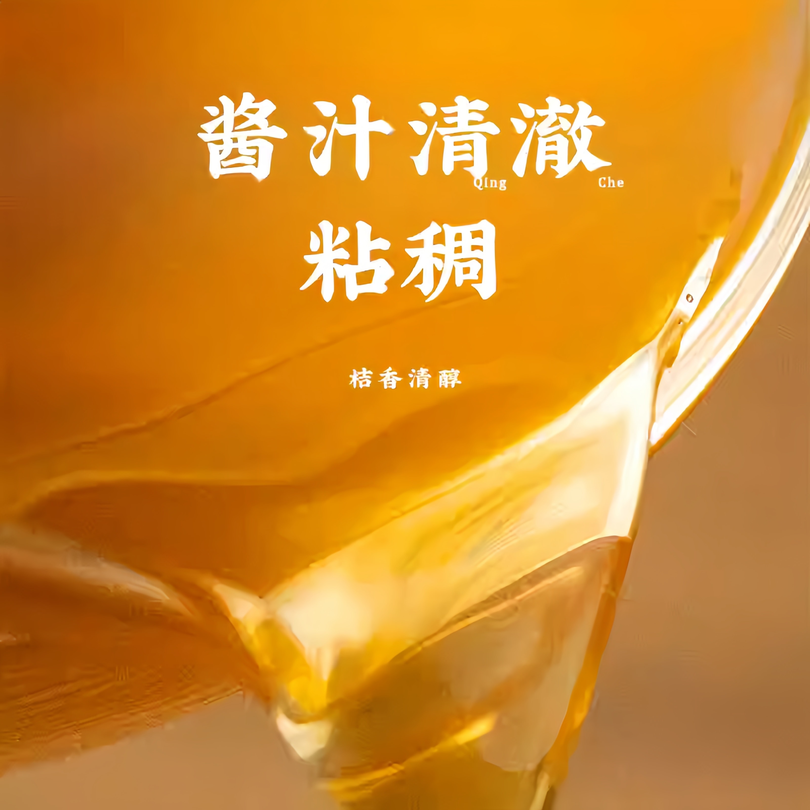 【中國直郵】 潮汕集錦 金桔油特產叉燒鹵肉200g*1瓶