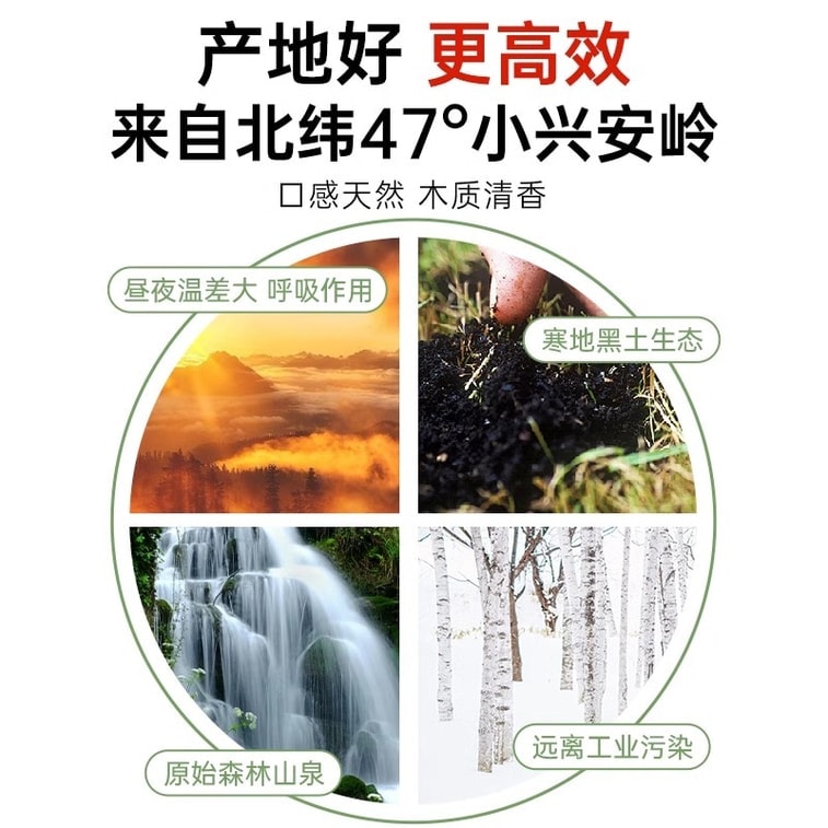 【中國直郵】 養益君 天然白樺樹汁原液 100%原汁 美容護膚 抗氧化 預防高血壓 降低血糖 300ml/盒 3