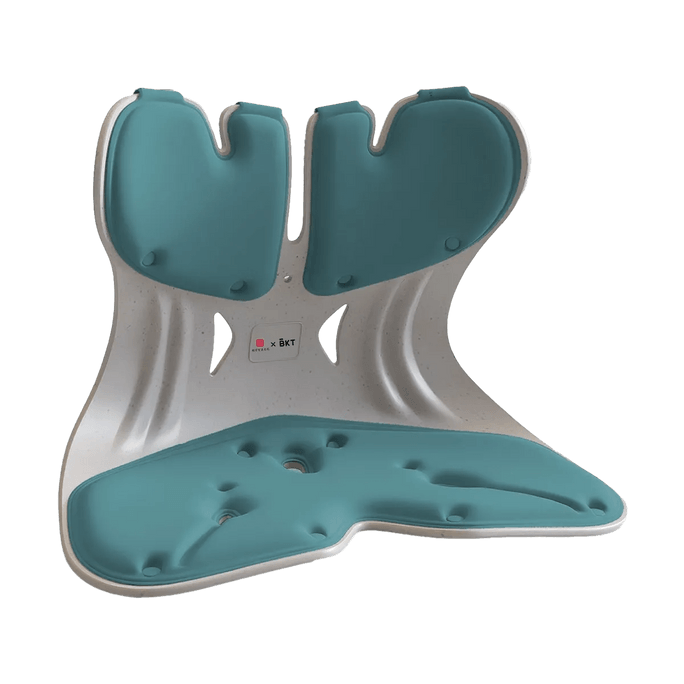 Ergonomic Lumbar Support Chair Oversized Nordic Blue Posture Corrector