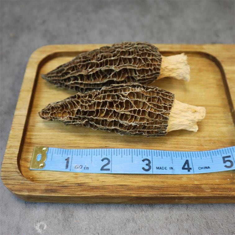Royal Seafood USA Premium Natural Dried Morels(large) 1lb 4