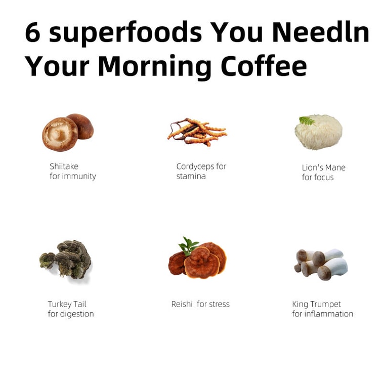  美国 Oussiu 有机蘑菇咖啡 - 180克(30份)提升专注力增强免疫减轻压力。 4