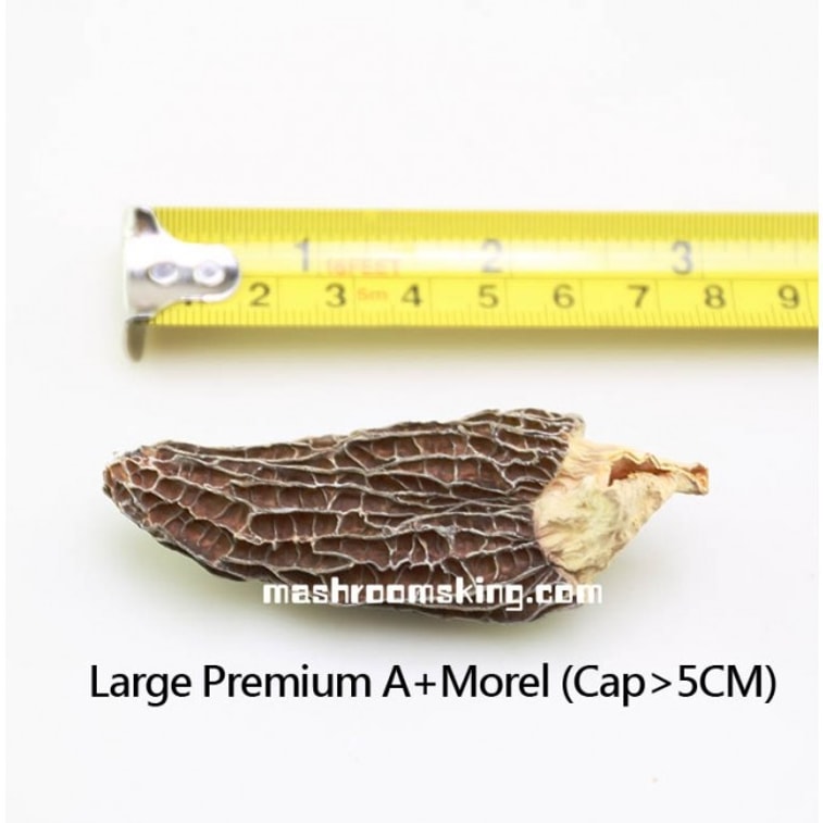 XLSEAFOOD Yun Nan Premium A+  Wild Mushroom Wild True Morel Mushroom  Regular SIZE 4OZ 113g pack 5