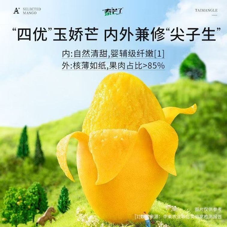 태국산 망고 스트립 [달콤한 망고 스트립] 설탕에 절인 과일, 건과일, 새콤달콤, 무지방 [사무실, 기숙사, 드라마 몰아보기 간식] 70g*1봉 5