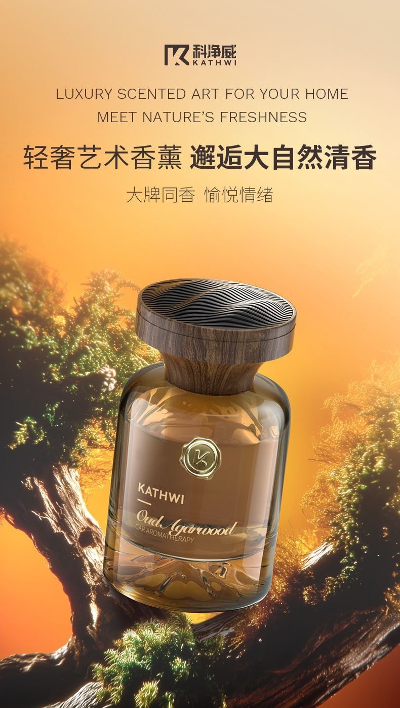 【中國直郵】 科淨威 陳小春推薦 觀山車載香水 120ml烏木沉香