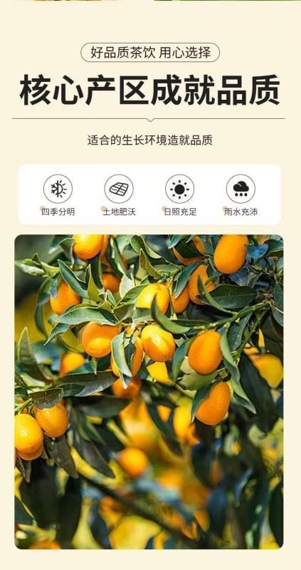 金桔干 酸甜适中 健康原味 水果滋补茶100g/瓶