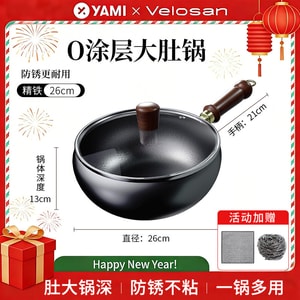 Big Belly Iron Pot 26cm Includes Cleaning Tools
