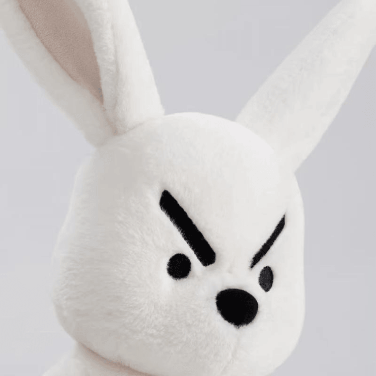 [中国直送] Youquyoupin 文東子 奮闘うさぎ ぬいぐるみ 抱き枕 慰め人形 女の子の誕生日や新年の贈り物 48cm 3