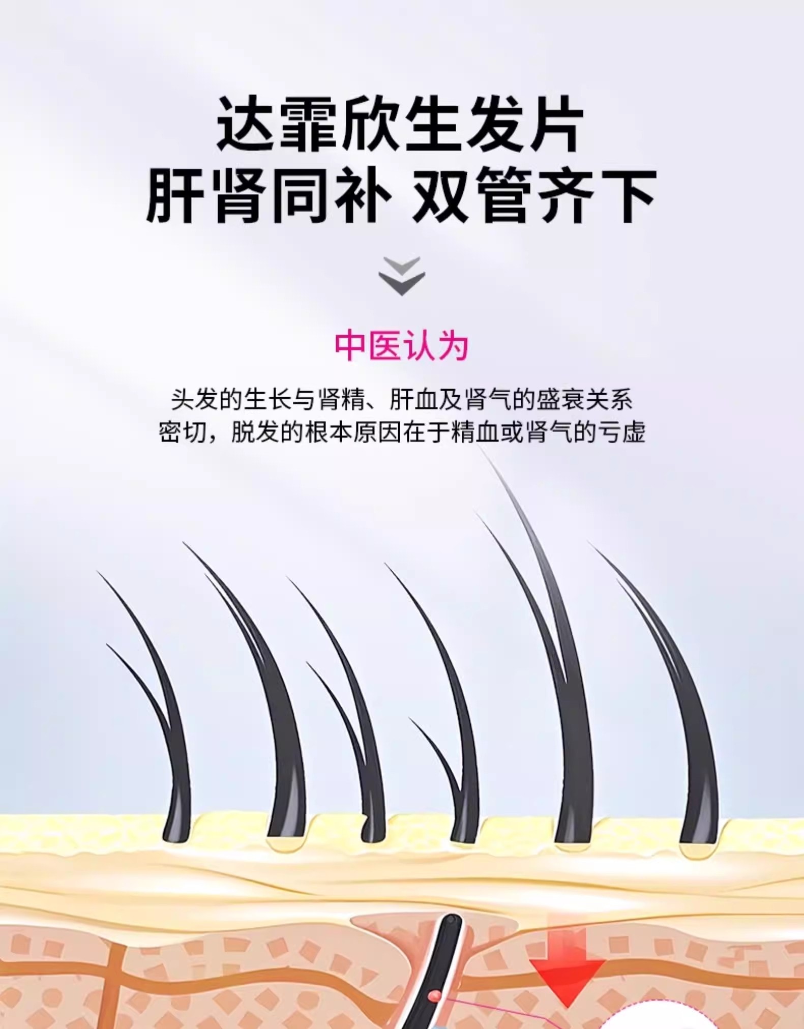 【中國直郵】 達霏欣 生髮片 何首烏養血生髮片補肝益腎斑禿防脫髮白髮 0.35g*108片/盒