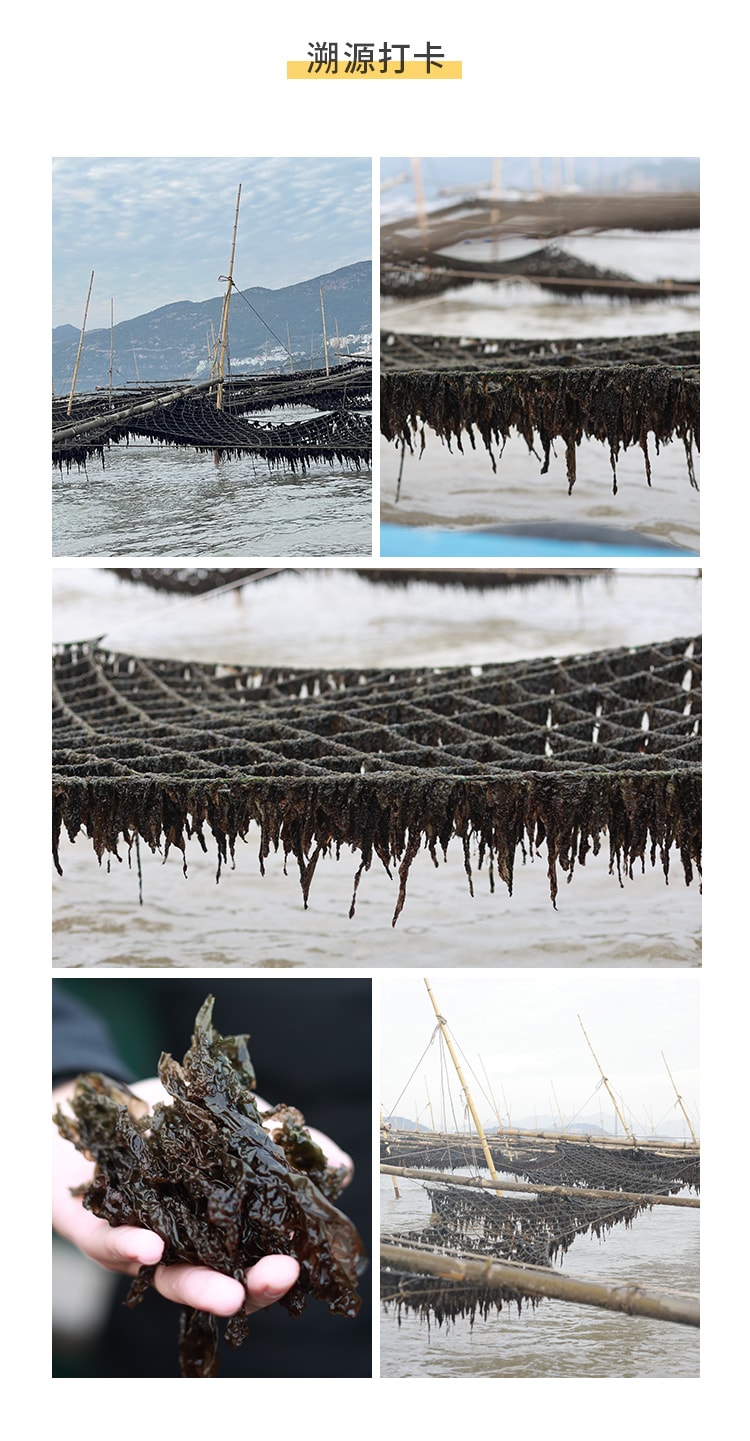  远方好物 霞浦食客 无砂头水紫菜 50gX2