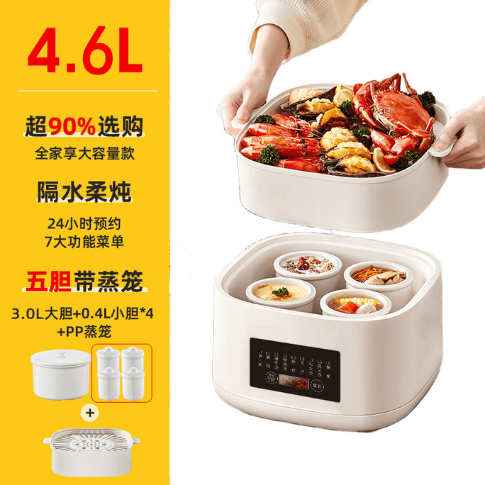4.6L Double Boiler Electric Stew Pot Slow Cooker 1 bunch
