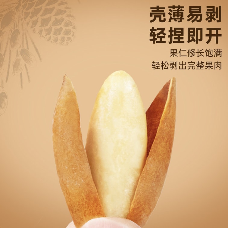 【中国直送】Every Fruit Time ブラジル産松の実、アフガニスタン産長粒手剥き松の実 200g オリジナルフレーバー 輸入ナッツ 栄養豊富でヘルシーな新年向けドライフルーツスナック【殻が薄く、剥きやすく、原材料がきれい、均一でふっくらとした大きなナッツ】 5