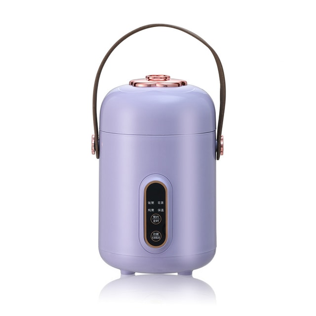 500W Electric Stew Pot Slow Cooker Tea Maker Portable Hot Pot Prridge Soup  Maker with Appointment