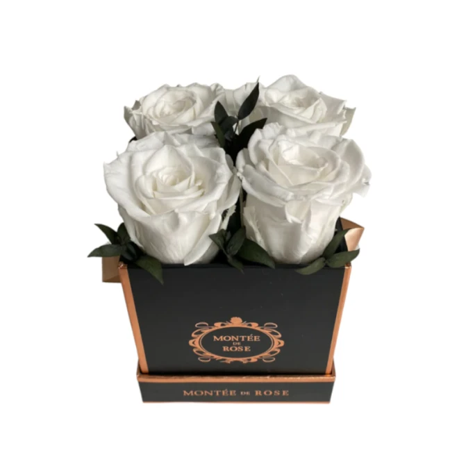 【美國直郵】森林精靈小黑方 永生玫瑰花盒