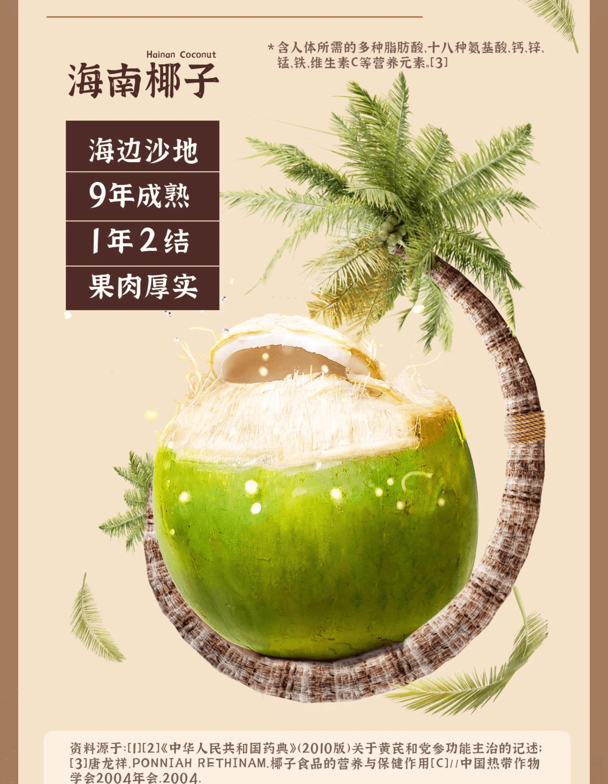 【中国直邮】 南国 黄芪党参椰子粉营养早餐冲饮可冲12杯120g*1袋