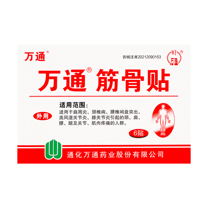 筋肉痛緩和パッチ 背中、首、肩、膝痛、筋肉痛用 6枚入