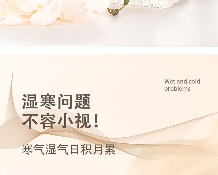 【中國直郵】 晶雅家 經絡舒養 3 合 1 電動拔罐器 砭石艾灸 + 刮痧 贈 4 罐 + 30 粒艾柱 白色套裝