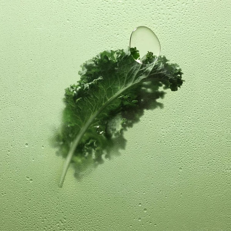 喜茶 羽衣甘蓝青瓜复合果蔬汁饮料 330ml *6【6份超值装】【低糖低卡高纤】【清爽营养液体沙拉】 4
