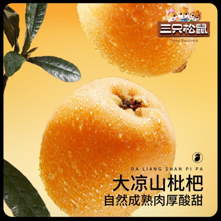 スリー リス 種抜きビワ (60g) - 新鮮なおやつを求める人のための季節限定のドライフルーツのおやつです。 3