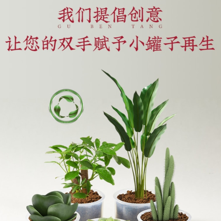 [중국 직배송] 구벤탕 24향 홍삼장미생명차 [30캔, 30일분] 총 400g 4