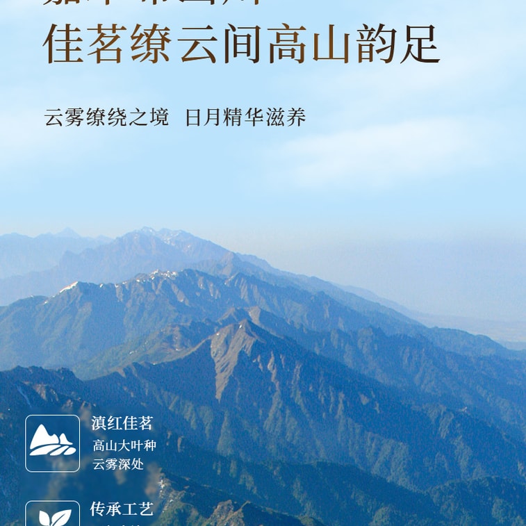 元正雲南滇紅茶 雲上古木紅茶 雲南大葉古木茶 150g缶 3