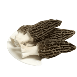 Dried Morel Mushrooms 1oz/ 29 g Premuim Grade