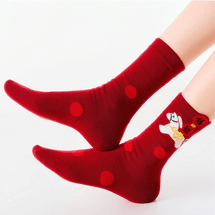 2026 Year of the Horse Lucky Sock Gift Set Red Zodiac Socks Fortune Arrives 5 Pairs