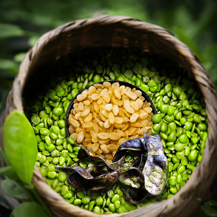 美國NESTLADY 6A級 精選野生單莢皂角米/雪蓮子 . 通便美容 燕窩伴侶 100g 可搭配桃膠、雪燕、紅棗 4