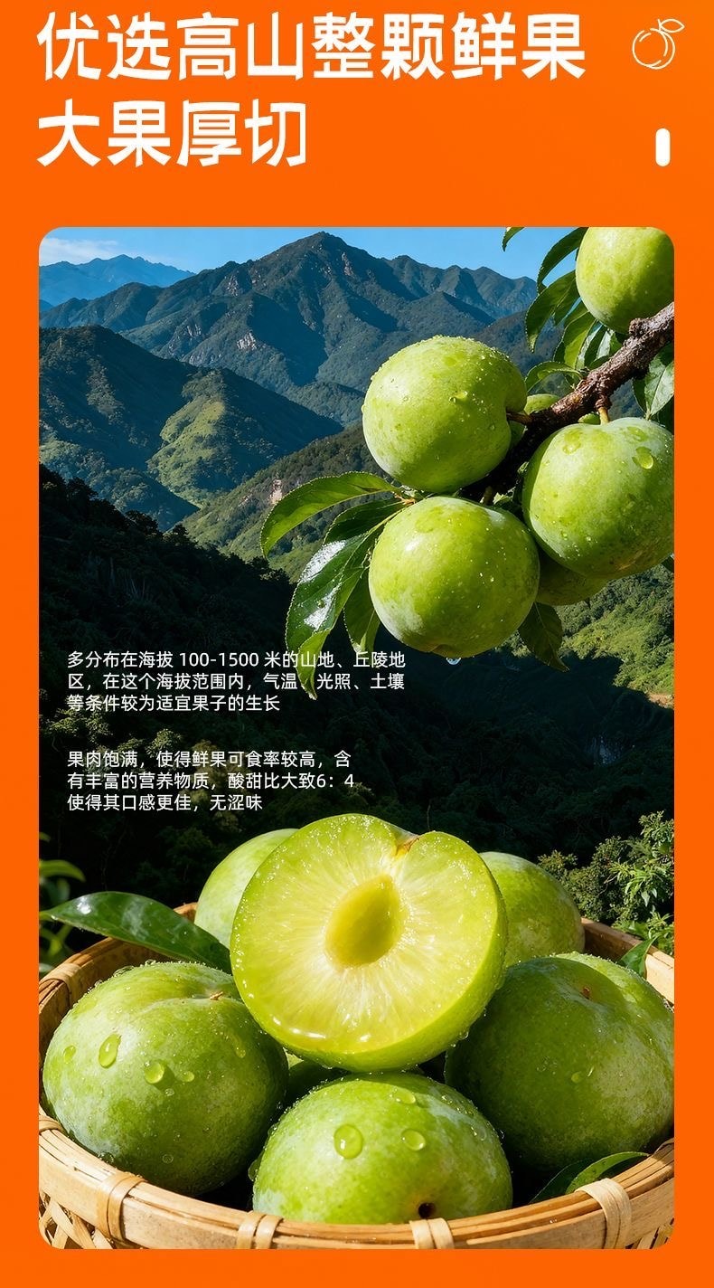 溜溜梅 陈皮梅条80g果脯果干梅肉酸甜开味无核办公室解馋休闲零食