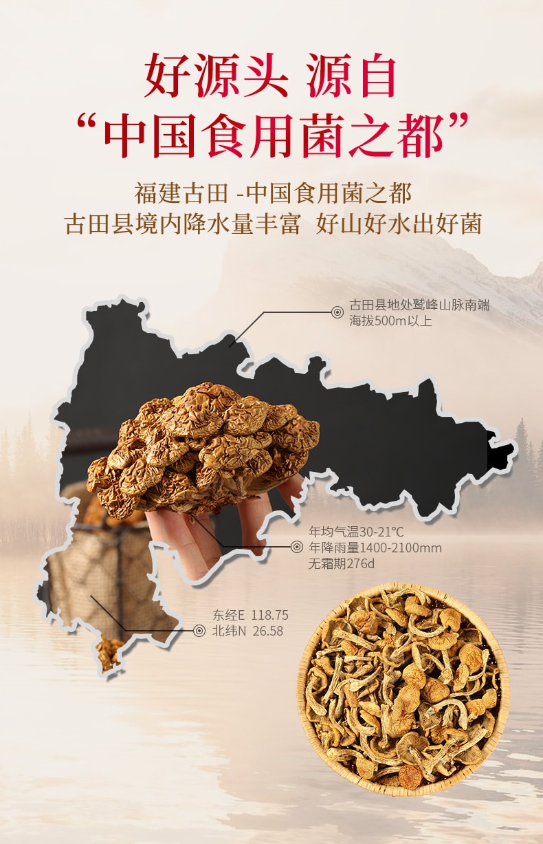  菌妍 滑子菇 口感滑嫩真的鲜美 50g【营养菌菇煲汤蒸炒 独特的滑嫩口感和鲜美的味道而著称】