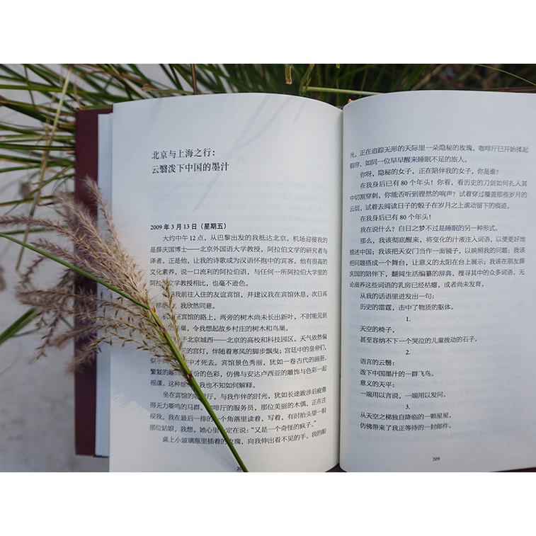 诺贝尔文学奖提名之作:在意义天际的写作·阿多尼斯文选 3