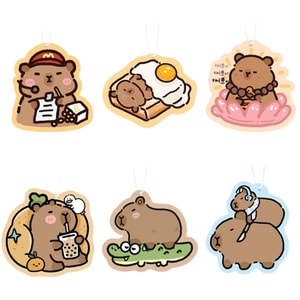 Car Aromatherapy Fragrance Chip Perfume Wardrobe Ornament-MIX 6Pc