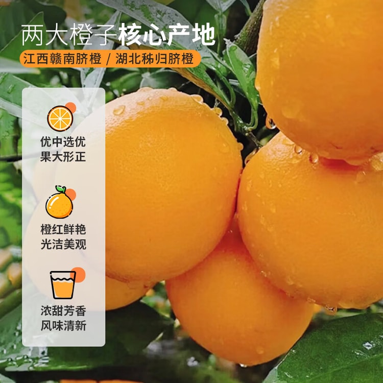 Freeze-dried Sweet Orange Slices 70g - Yami.com