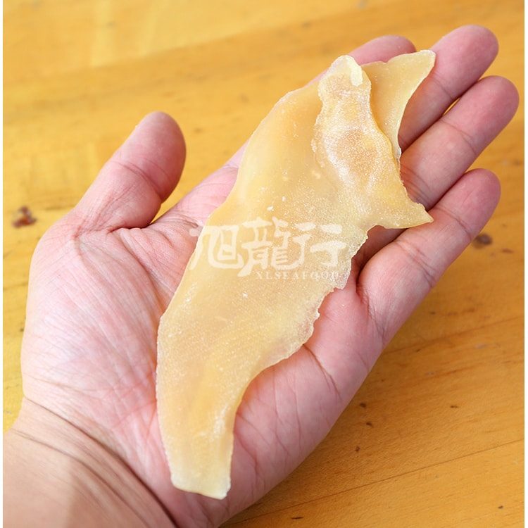 法螺貝 (山伏用)35cm 670gm 法螺貝 (山伏用)35cm 670gm