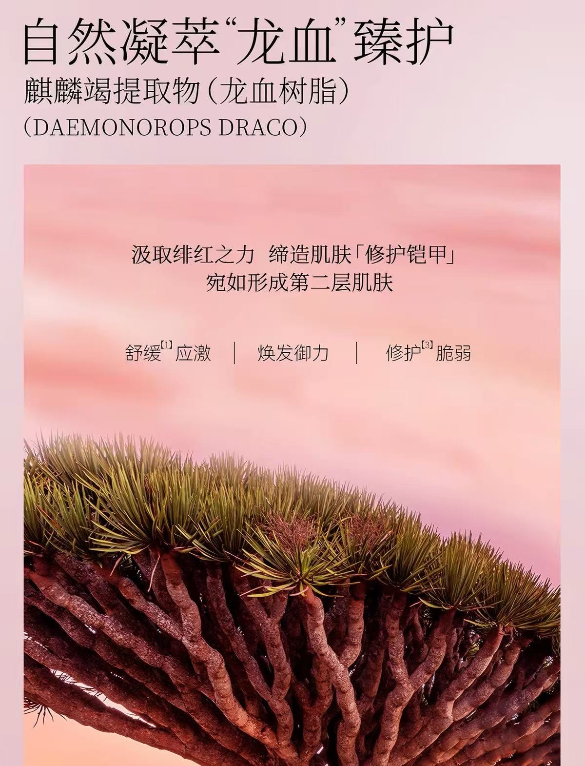 FAN BEAUTY DIARY FanBeauty 麒麟竭菌菇丝发酵修护面膜 龙血面膜【敏感肌维稳舒缓】急救补水保湿修复 舒缓祛红维稳强韧 32ml*5片