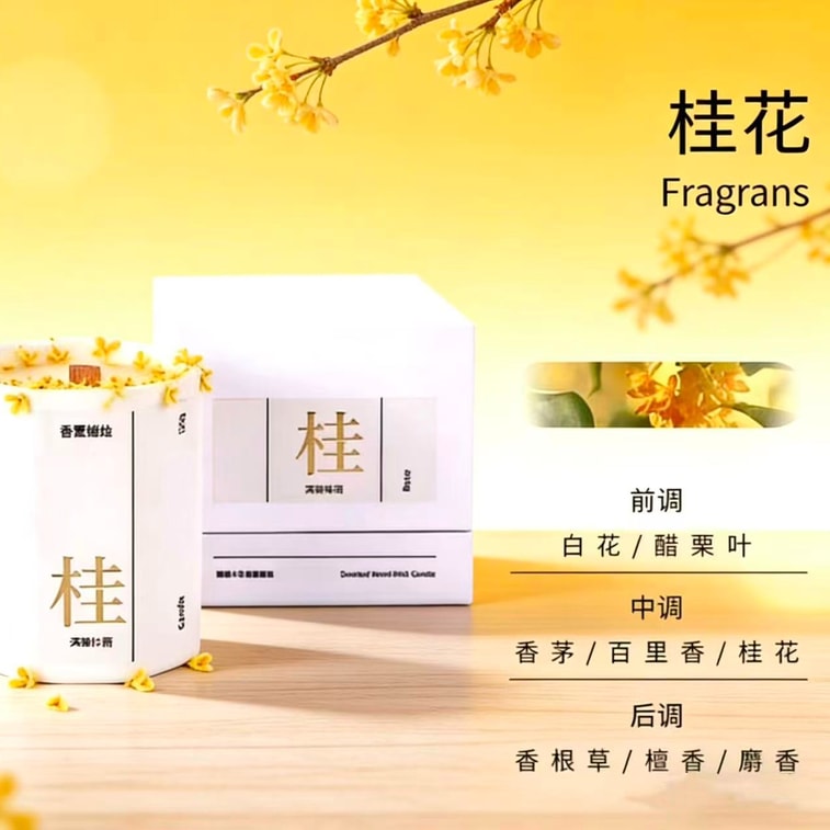 플라워 밸리 "만롱귀유" [새롭게 업그레이드된] 계화향초 130g [큼직한 팔각형 향] [도자기 용기 사용, 석고컵이 아니므로 뜨거워지지 않음] 우아하고 오래 지속되는 꽃향기, 침실 및 집안 인테리어에 완벽 [조향사: 루카스] [선물 상자 포함] 3