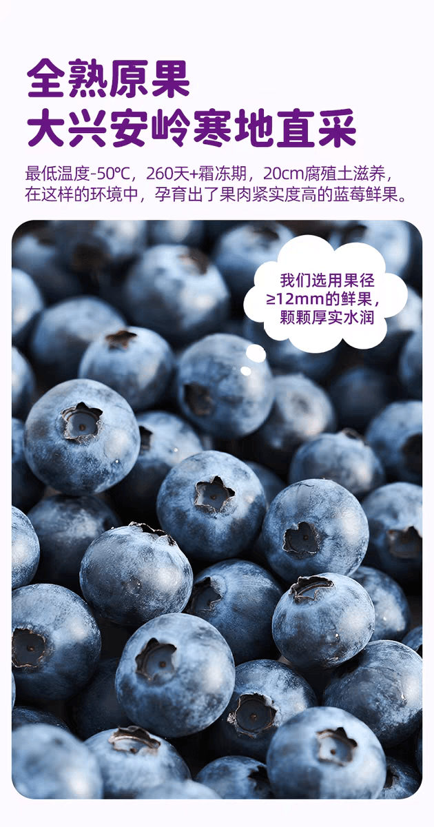 西域美农 蓝莓果干大兴安岭特产儿童孕妇休闲零食90g*1袋