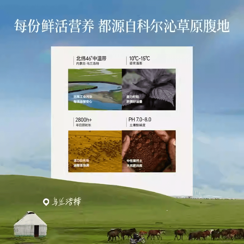 【中國直郵】 晟麥 有機紫蘇油100g蘇子籽食用油一級冷壓小瓶核心營養素