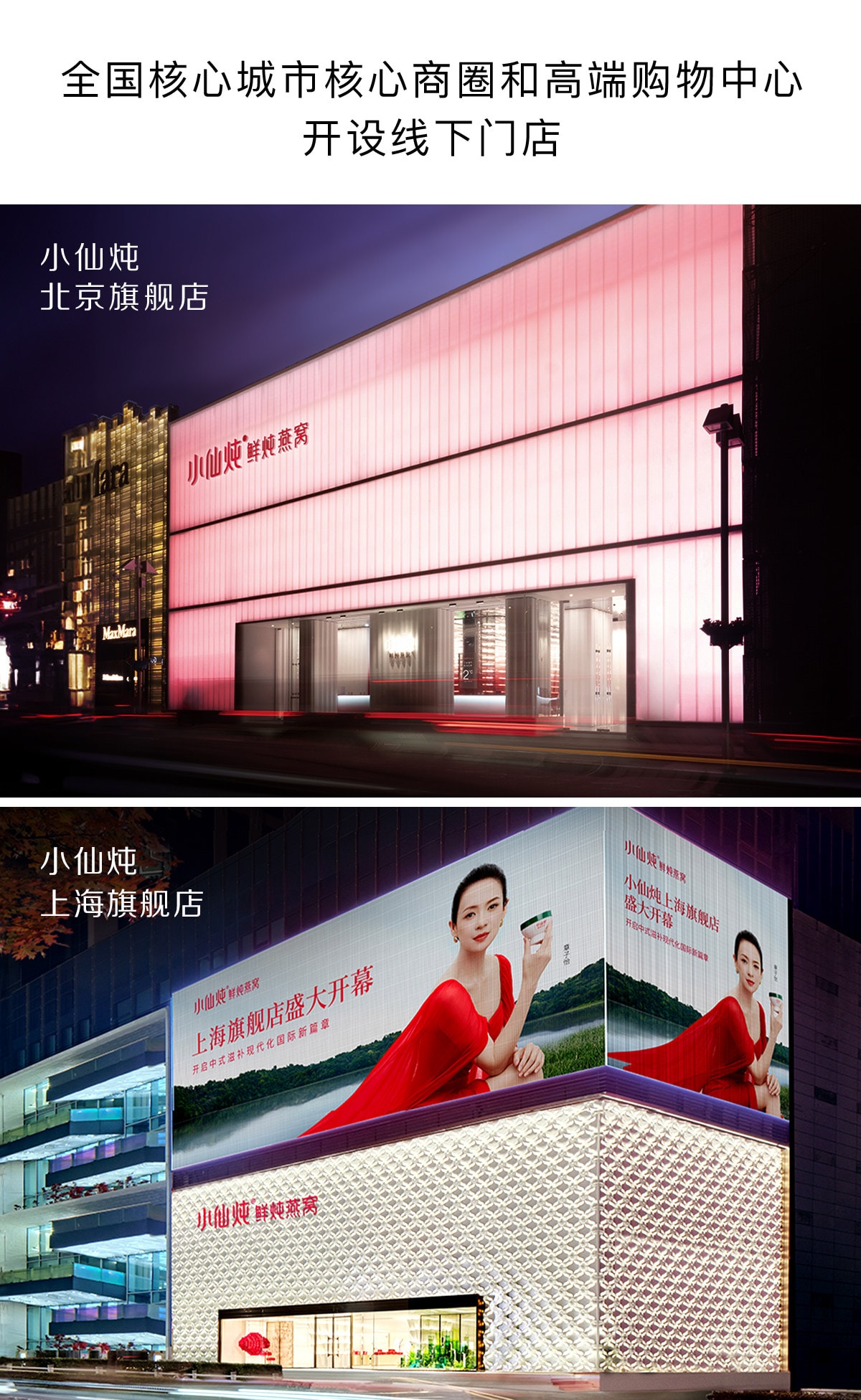 【中國直郵】 小仙燉 精燉燕窩 龍馬安康 送禮營養品滋補 低糖 40g*8瓶