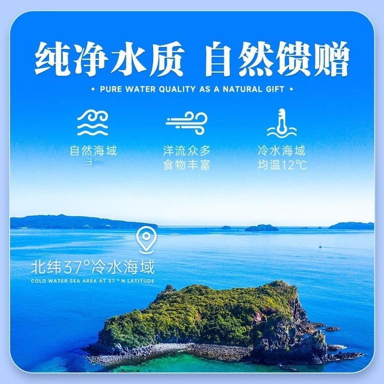 Dalian deep-sea wild sea cucumber, nutritious sea cucumber for pregnant women, dried sea cucumber, 250/box 7