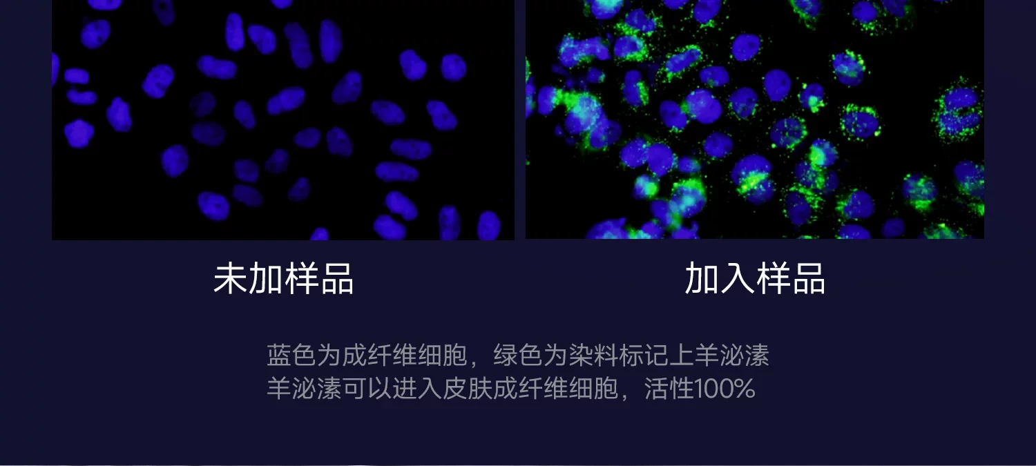 【中国直邮】 优理氏 DNA钠羊胎素冻干粉PDRN胶原修护精华6支*1盒