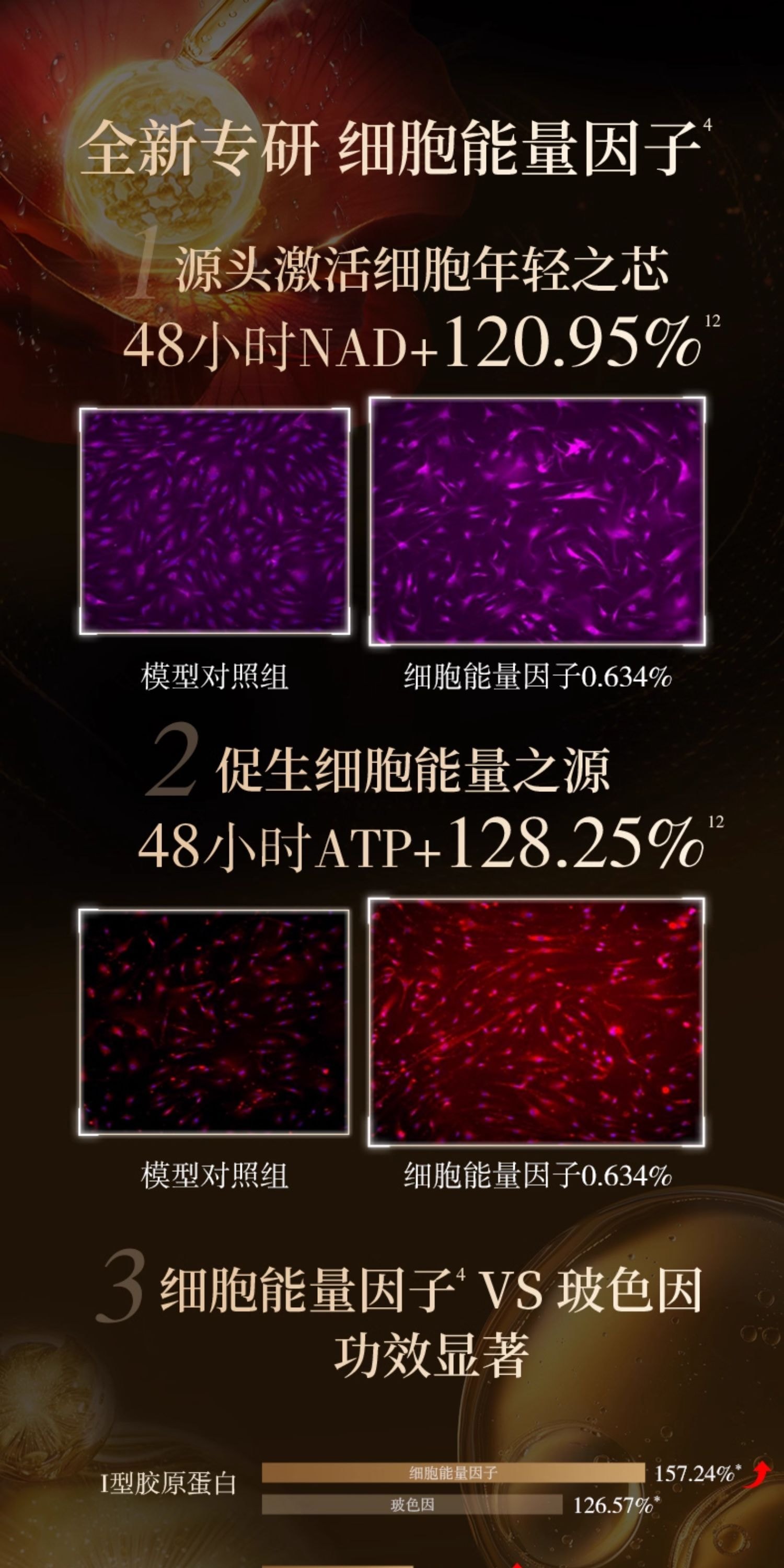 Camellia Black Gold Time Peptide Anti-Wrinkle and Brightening Essence Cream 15g/ Bottle