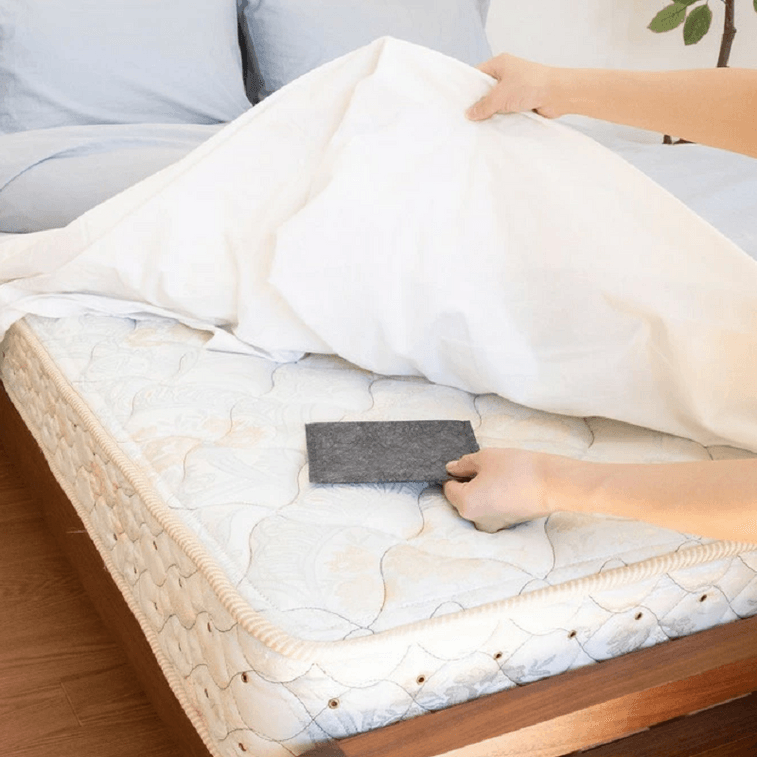 【日本直邮】 日本 地球生物 螨虫捕捉贴 3片装 3